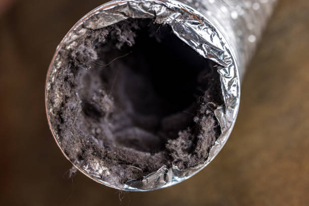 Best Professional Duct Cleaning Services  in Crystal City, MO